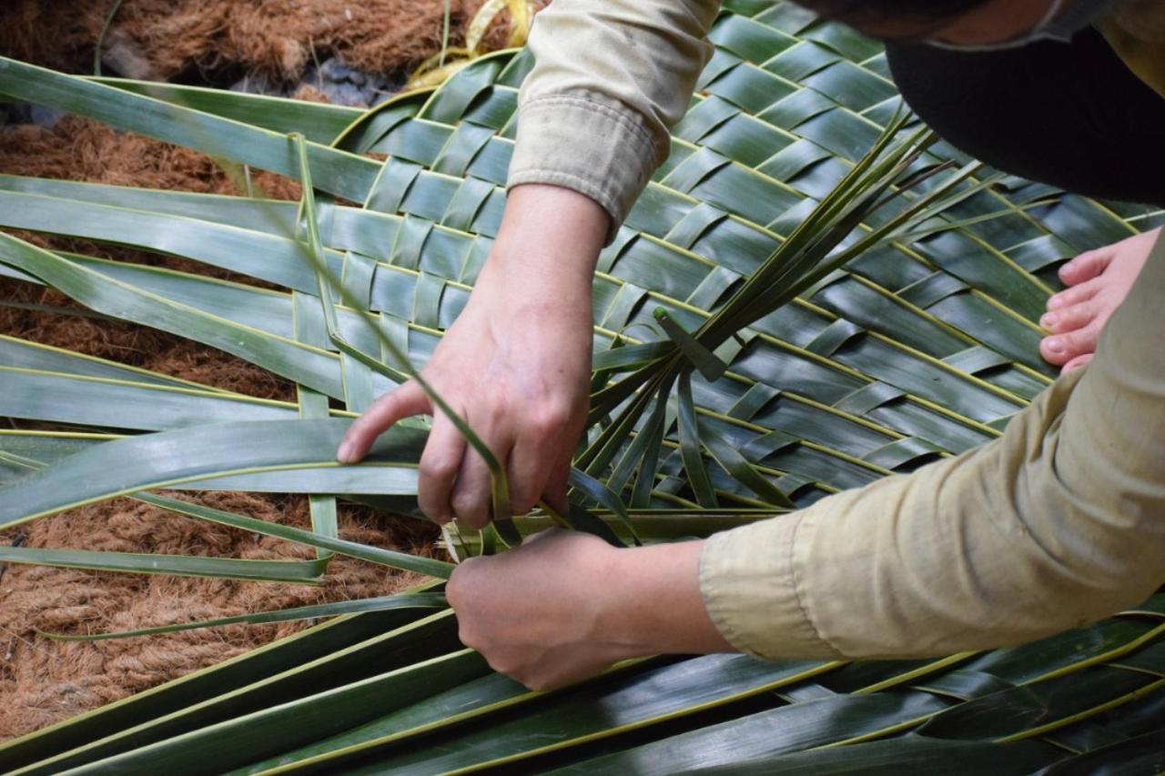 Ecoco Homestay Mekong Ben Tre Zewnętrze zdjęcie