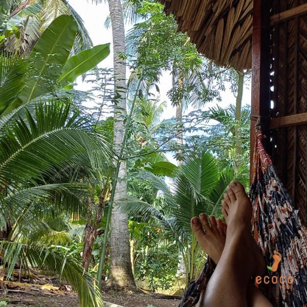 Ecoco Homestay Mekong Ben Tre Zewnętrze zdjęcie