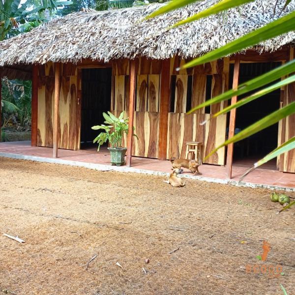 Ecoco Homestay Mekong Ben Tre Zewnętrze zdjęcie